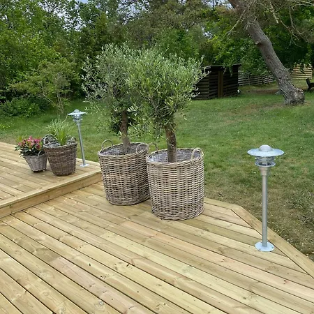 Authentic Log On Large Enclosed Natural Plot Vig